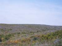 071 Monte San Vitoria